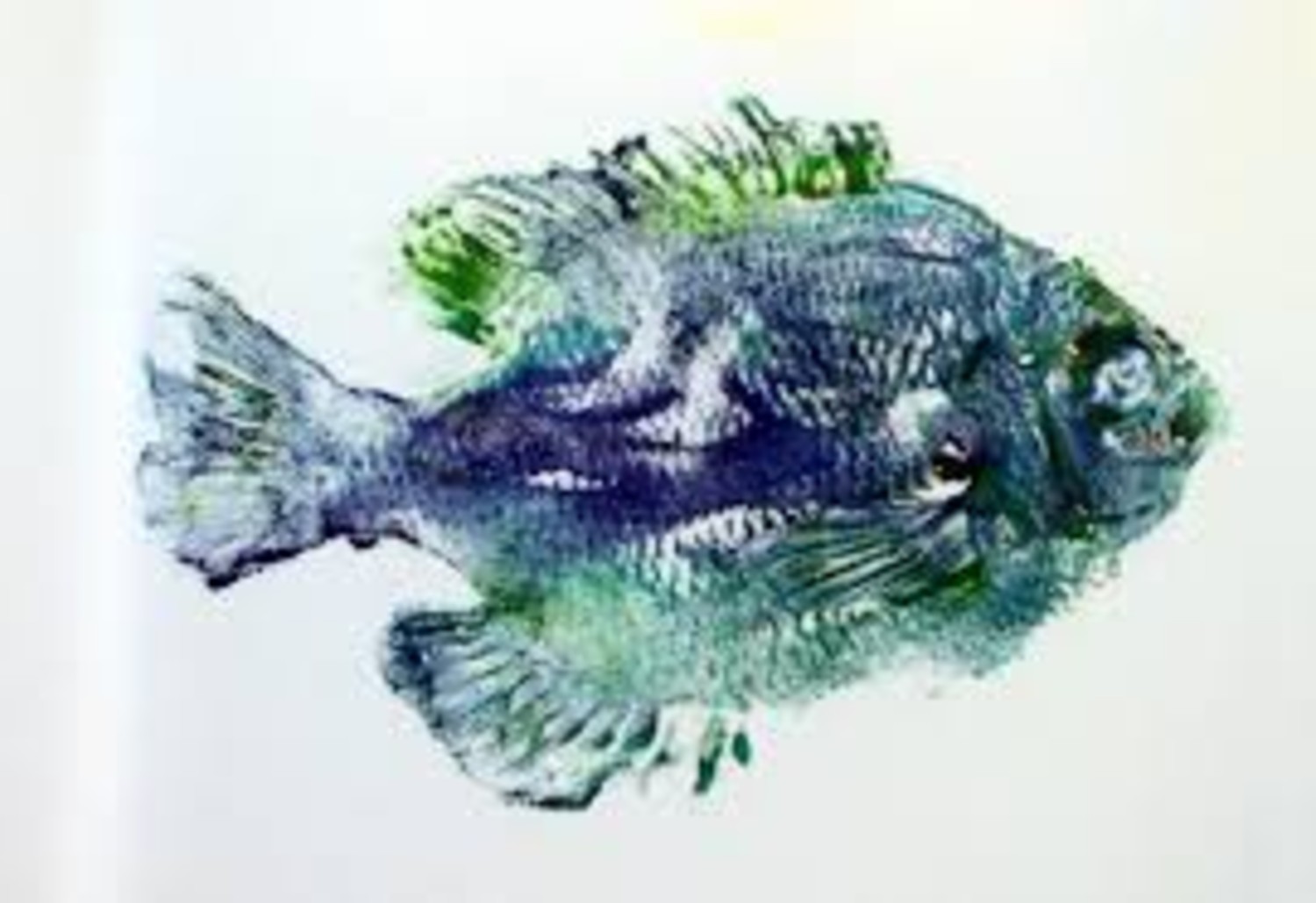 Fish Prints (Gyotaku)